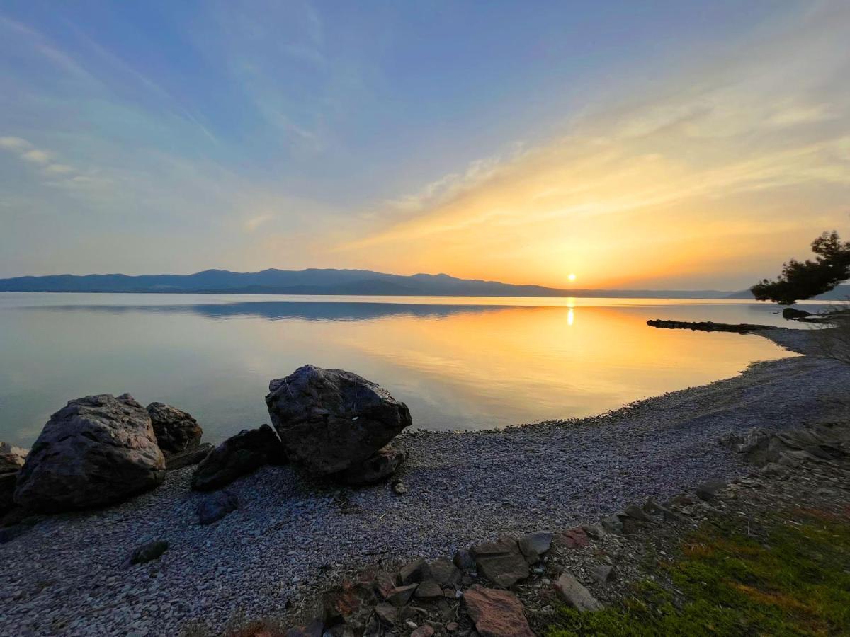 Traditional Architecture Seafront Stone House In 25000Sqm Olive Grove - C Villa Alyfanta Eksteriør bilde